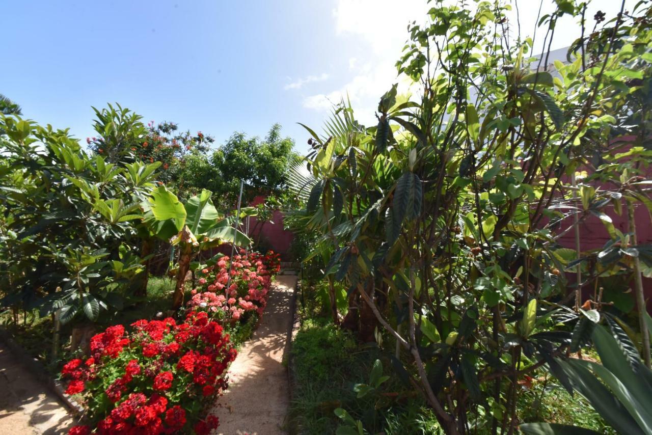 Gáldar Casa El Tonelero Con Jardin Y Piscina Privada 빌라 외부 사진