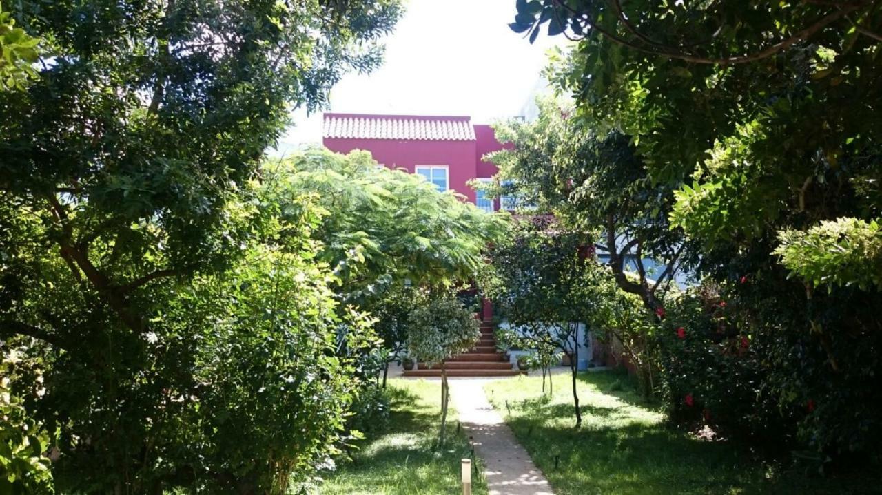 Gáldar Casa El Tonelero Con Jardin Y Piscina Privada 빌라 외부 사진